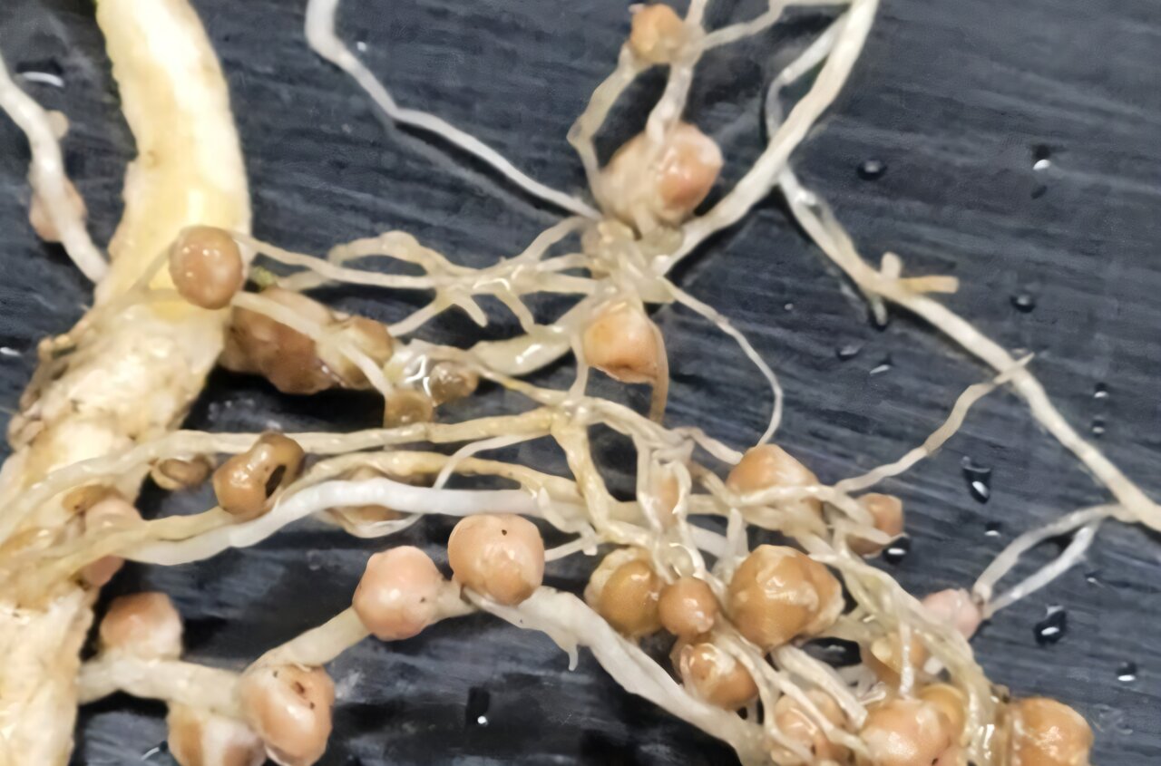 新突破专题封面