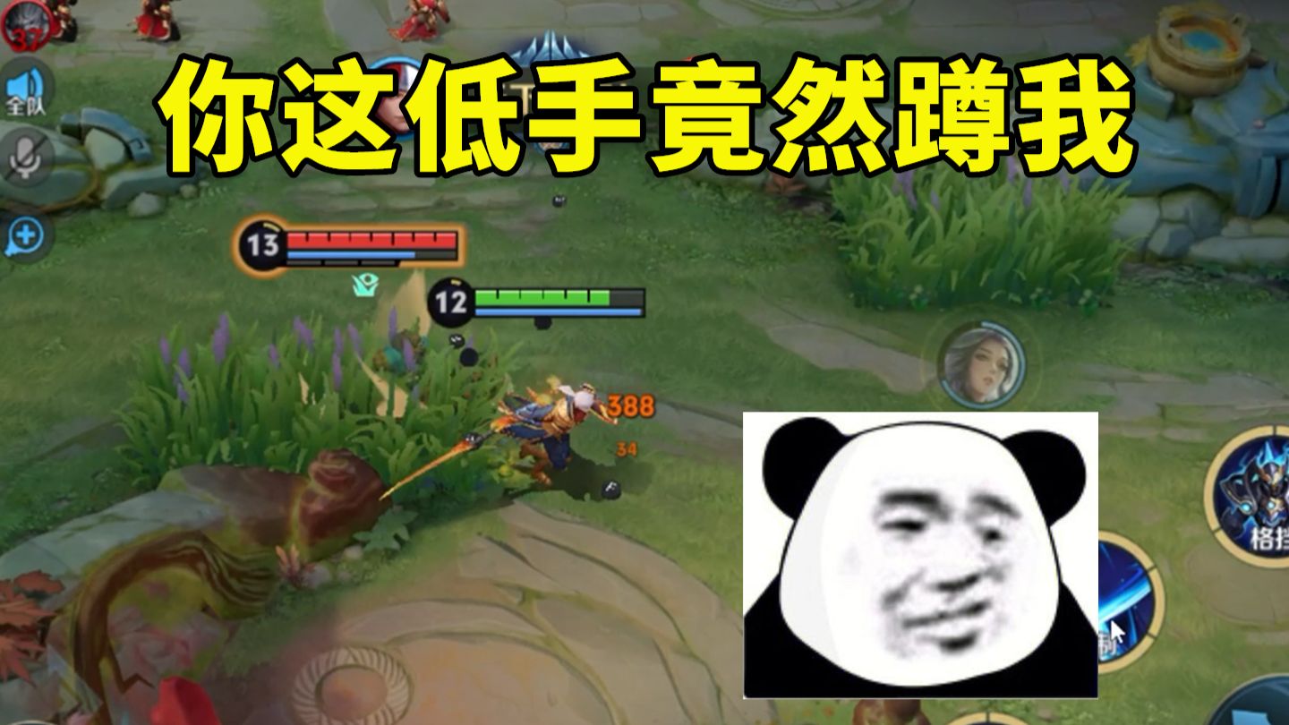 装的太菜专题封面