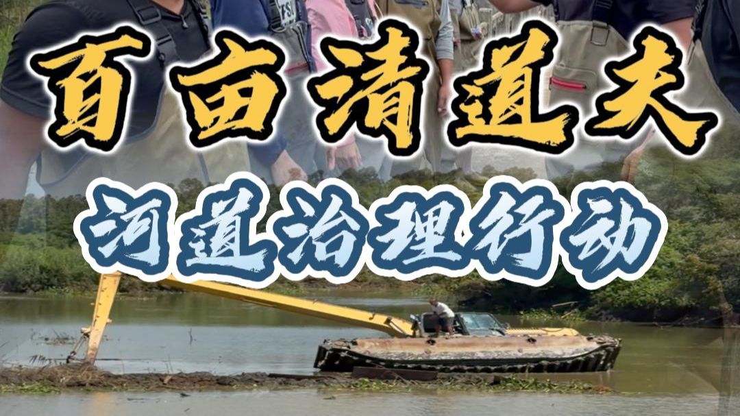 历时十几专题封面