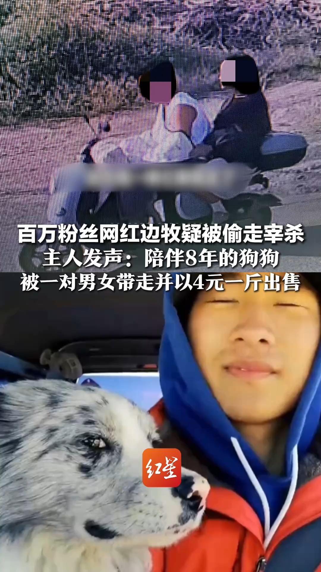 疑被偷宰专题封面