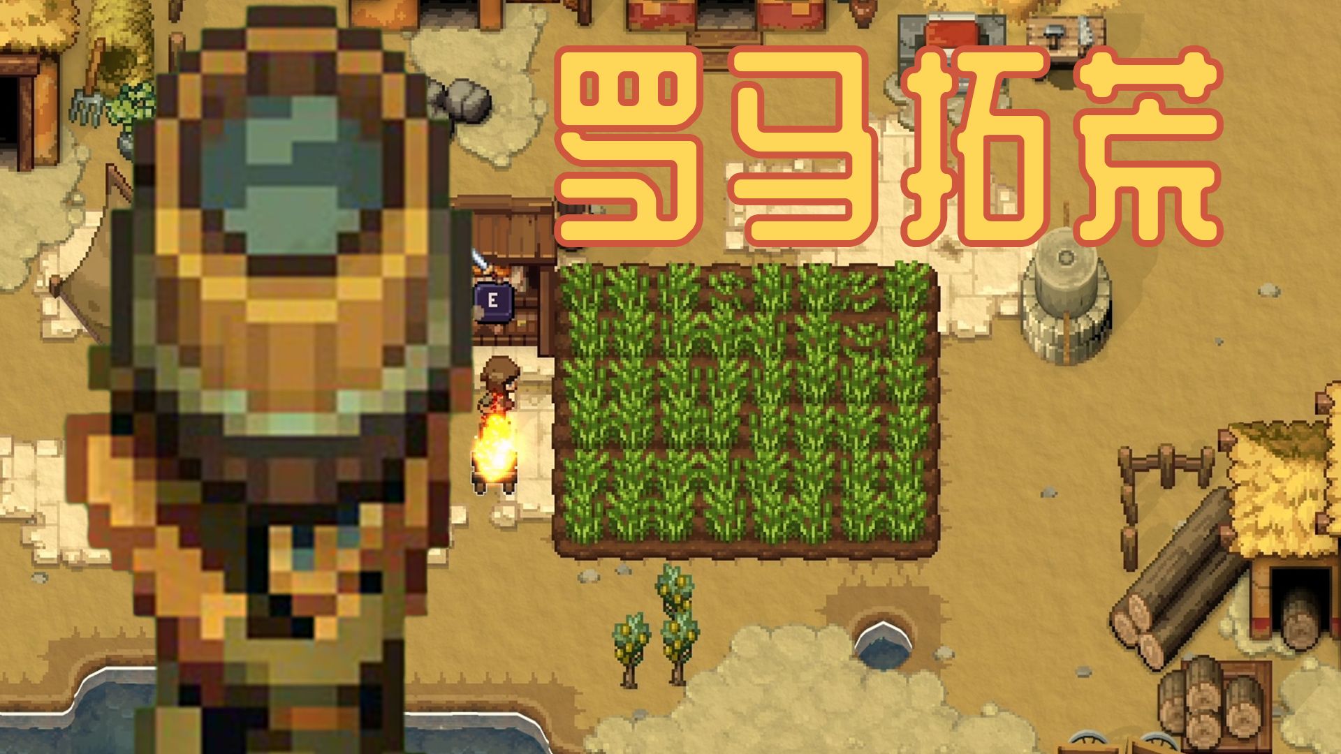 什么叫罗马人只会种菜了？