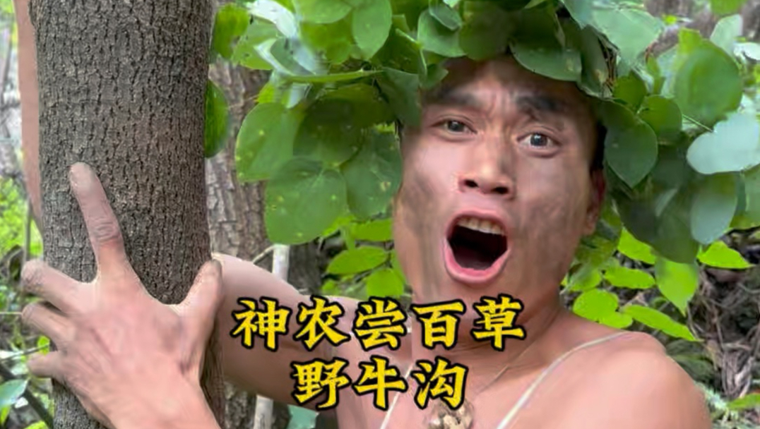住了兄弟专题封面