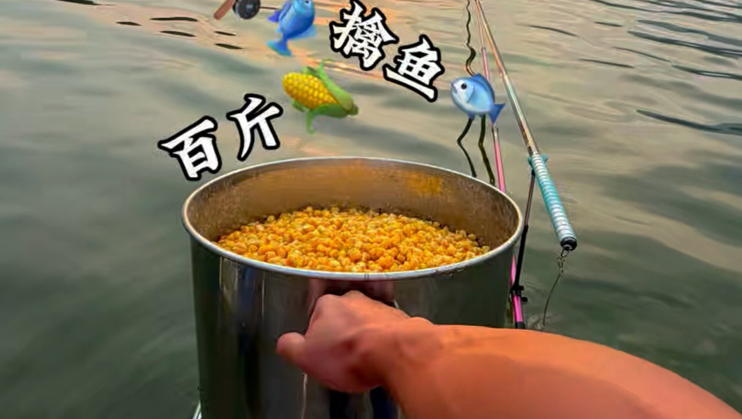 百斤玉米 擒鱼！