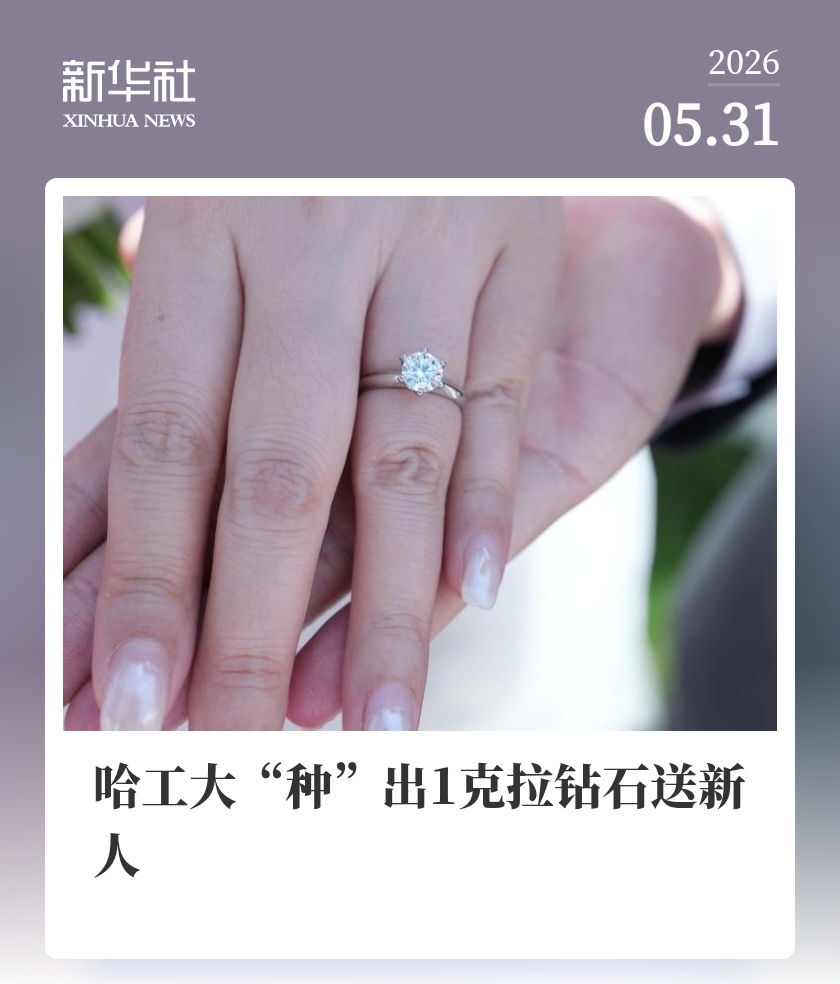 哈工大专题封面