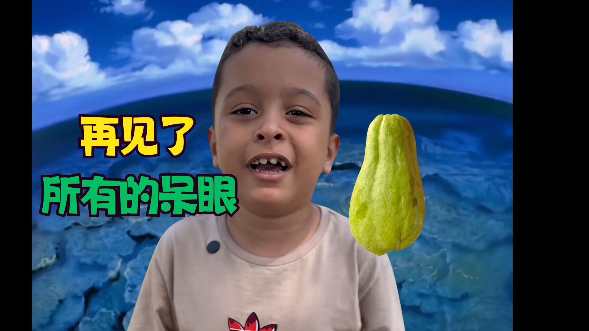 再见了所有的呆眼 再见了所有的窝瓜 这次真说再见了