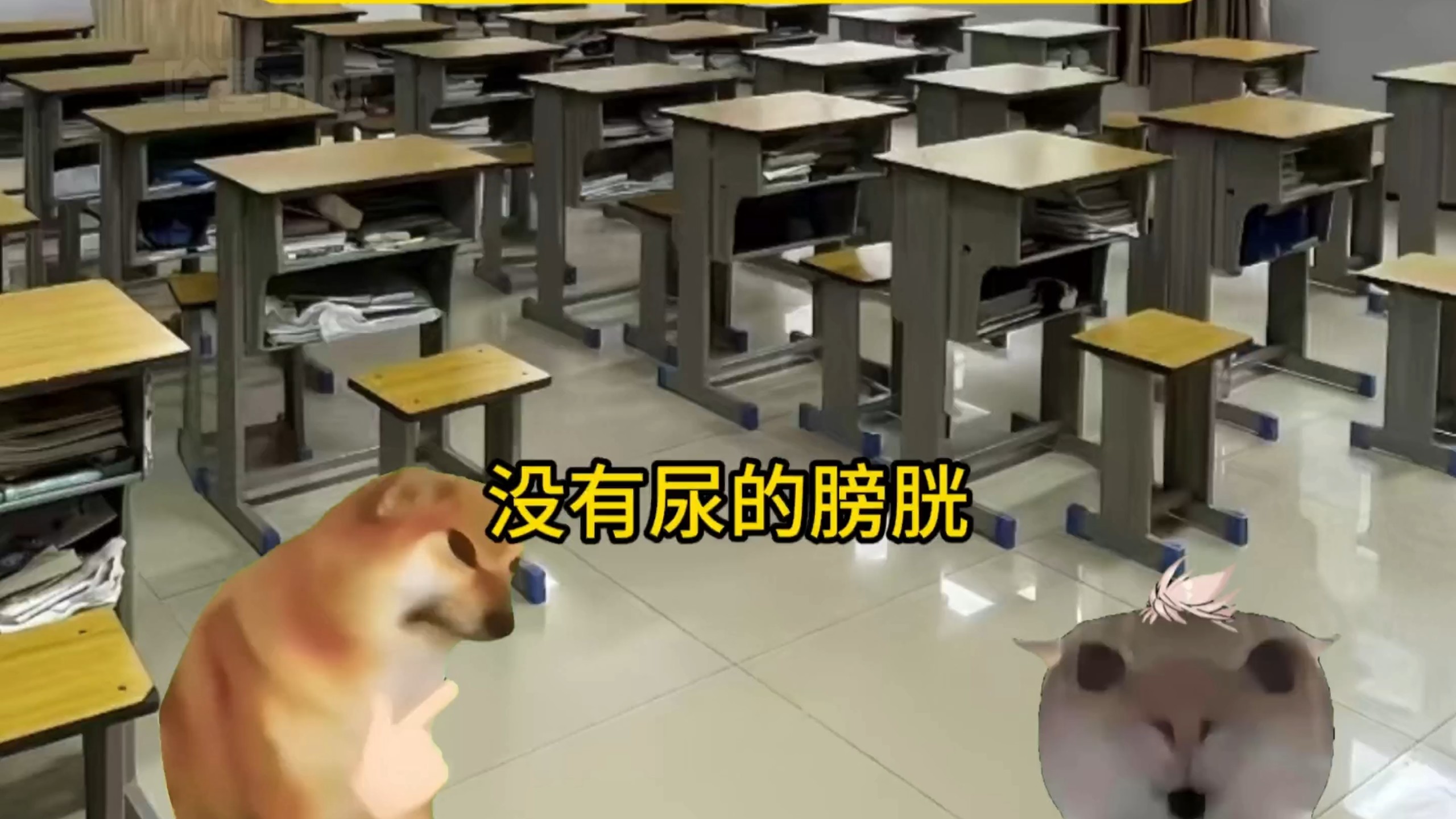 你的高考/中考/期末考belike