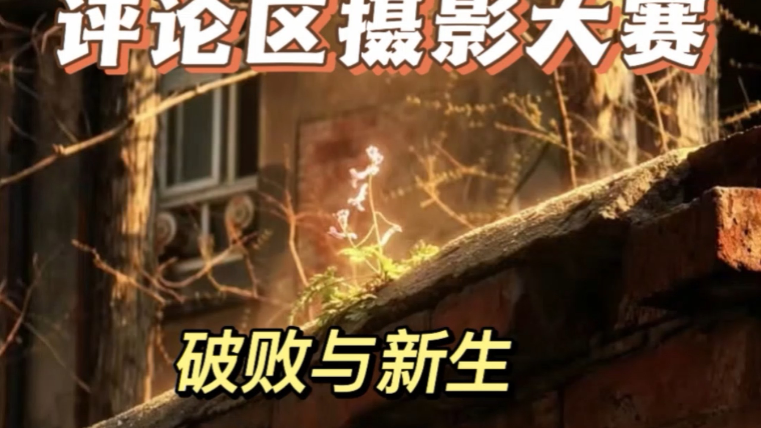 评论区摄影大赛之火遍全网的佳作篇，本期有锐评系列也有破败与新生佳作，欢迎投稿好的作品会让更多人看到。
