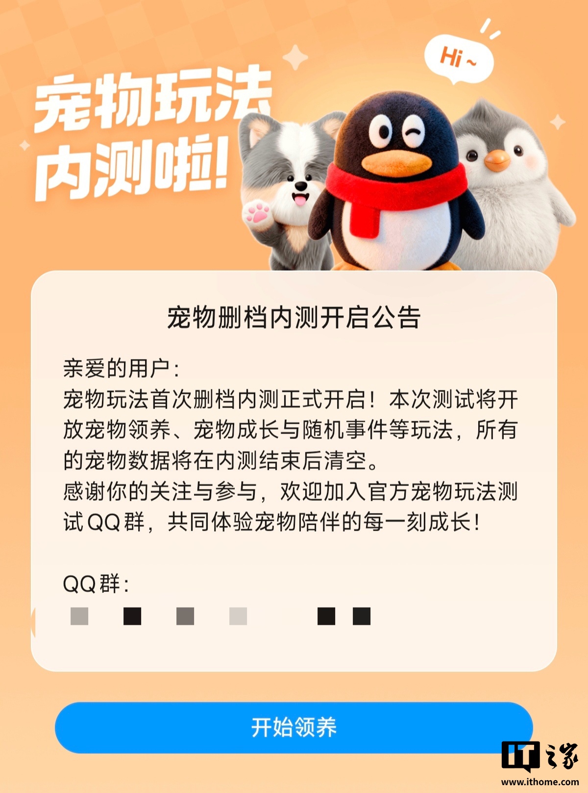 宠物玩法专题封面