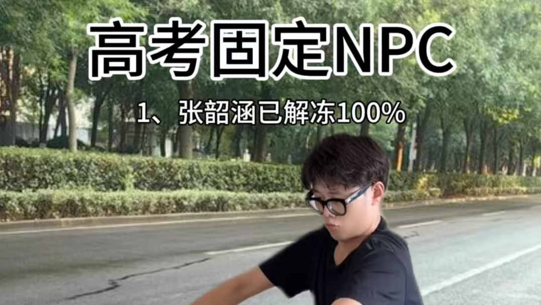 《高考固定NPC 2026》