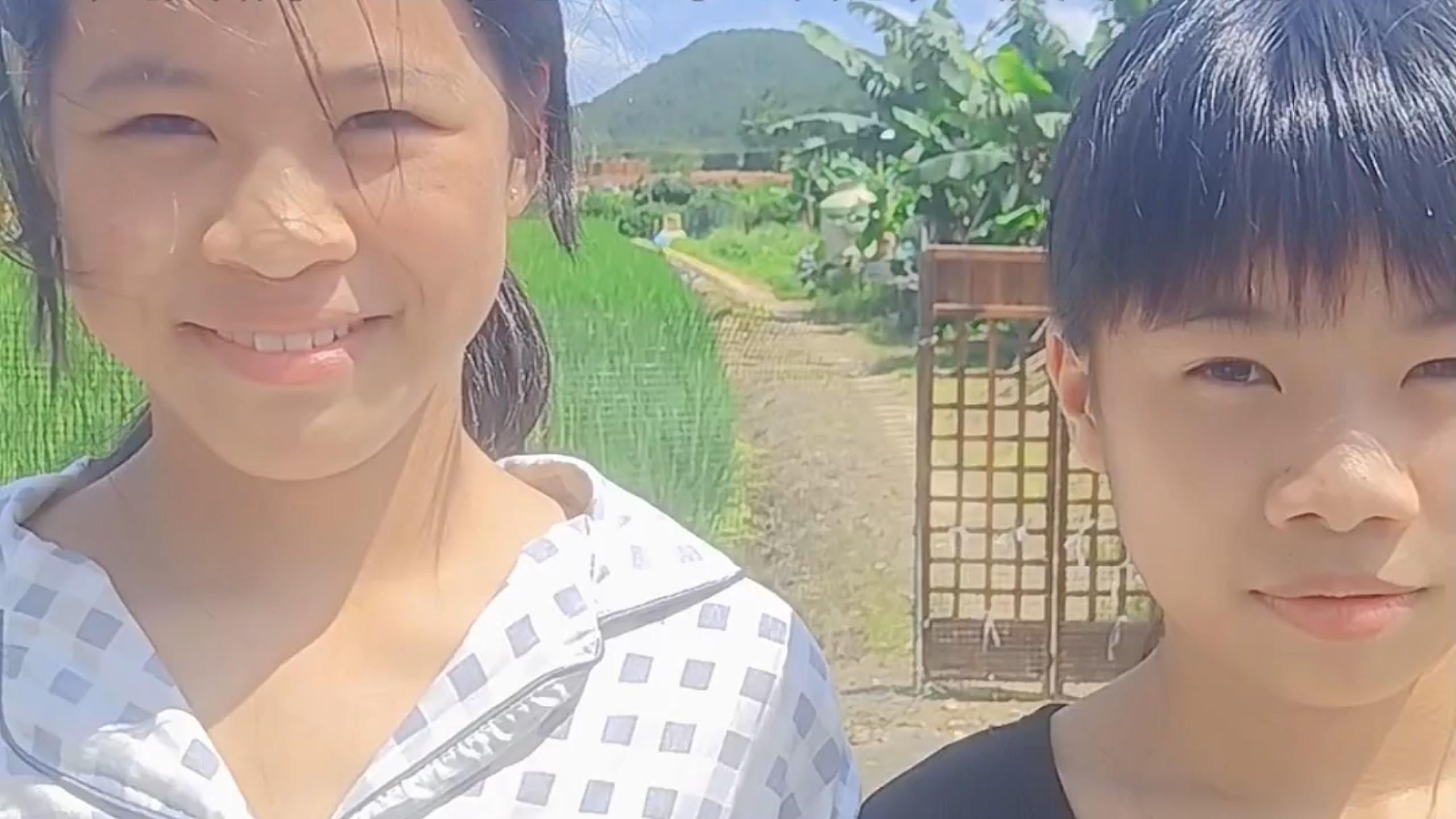 午间做美专题封面