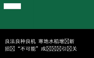 良法良种良机 寒地水稻增产新招让“不可能”成为现实引发关注